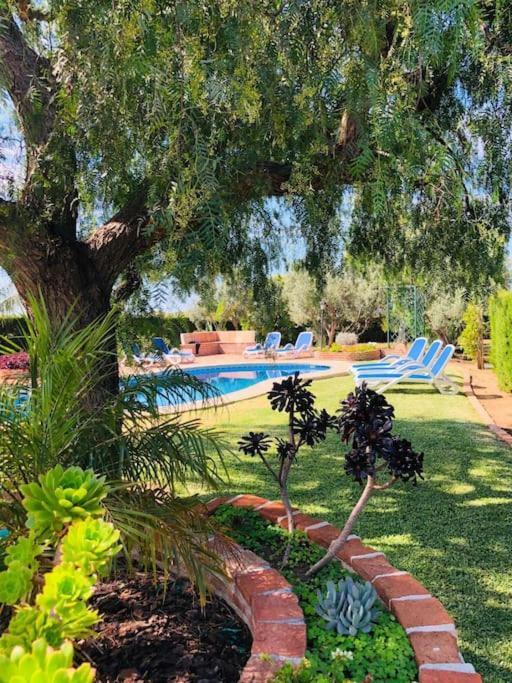 Casa Malospelos A15 Min Playa 米哈斯 外观 照片